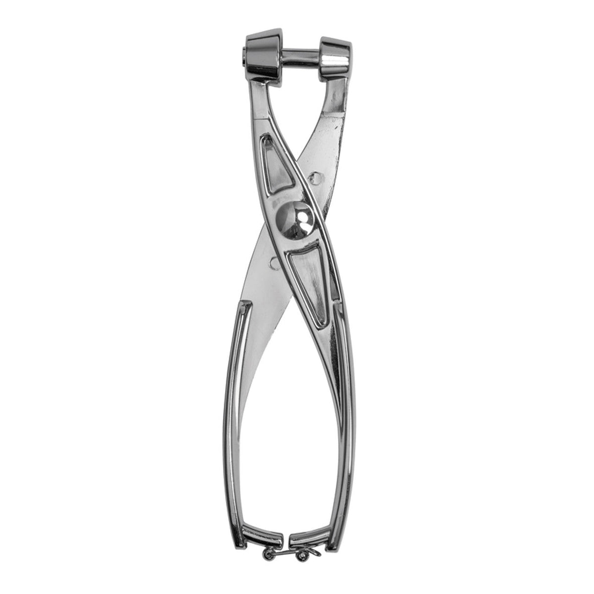 AVANTI Alloy Cherry and Olive Pitter