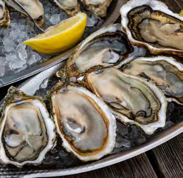 AVANTI Melamine Oyster Serving Tray - White