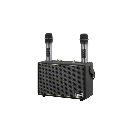 Wireless Karaoke Speaker with 2 Microphones - Black