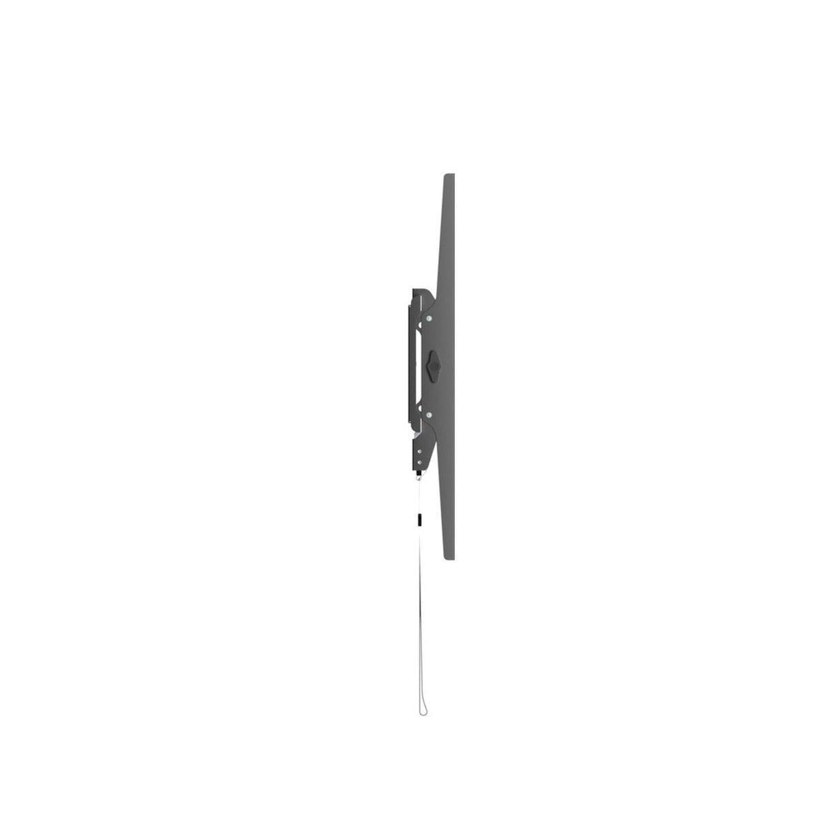 CW2954 TV bracket side profile