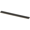 40 Pin Female Header Strip