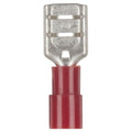 Female Spade - Red - Pack of 8