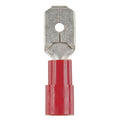 Male Spade - Red - Pack of 8