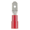 Mini Male Spade- Red - Pack of 8