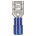 Female Spade - Blue - Pack of 8
