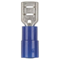 Mini Female Spade - Blue - Pack of 8