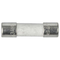 6.3A M205 Ceramic Fast Blow Fuse