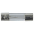 10A M205 Quick Blow Fuse 250VAC
