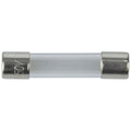 100mA 3AG Quick Blow Fuse