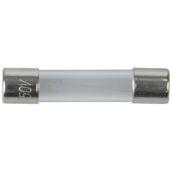 100mA 3AG Quick Blow Fuse