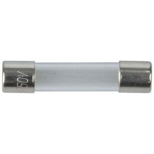 100mA 3AG Quick Blow Fuse