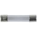 250mA 3AG Quick Blow Fuse
