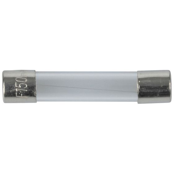 250mA 3AG Quick Blow Fuse