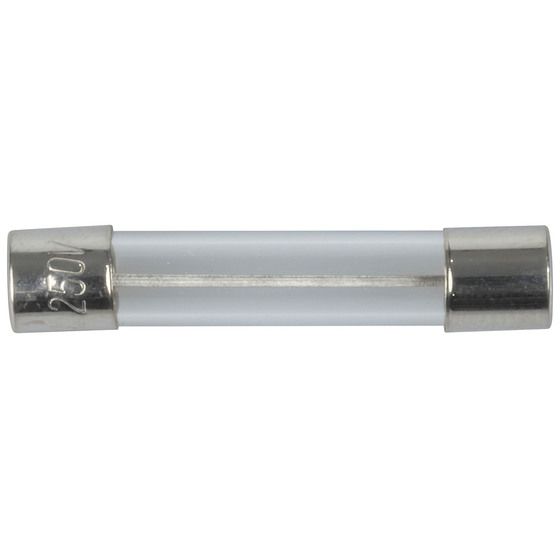 15A 3AG Quick Blow Fuse