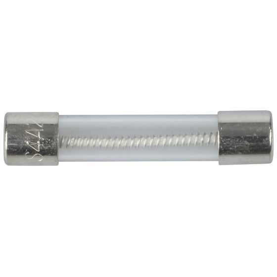 4A 3AG Slow Blow Fuse