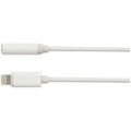 3.5mm Audio Socket to Lightning? Plug Adaptor Cable