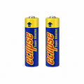 Eclipse AA Alkaline Batteries - Pack of 2 — plain product view